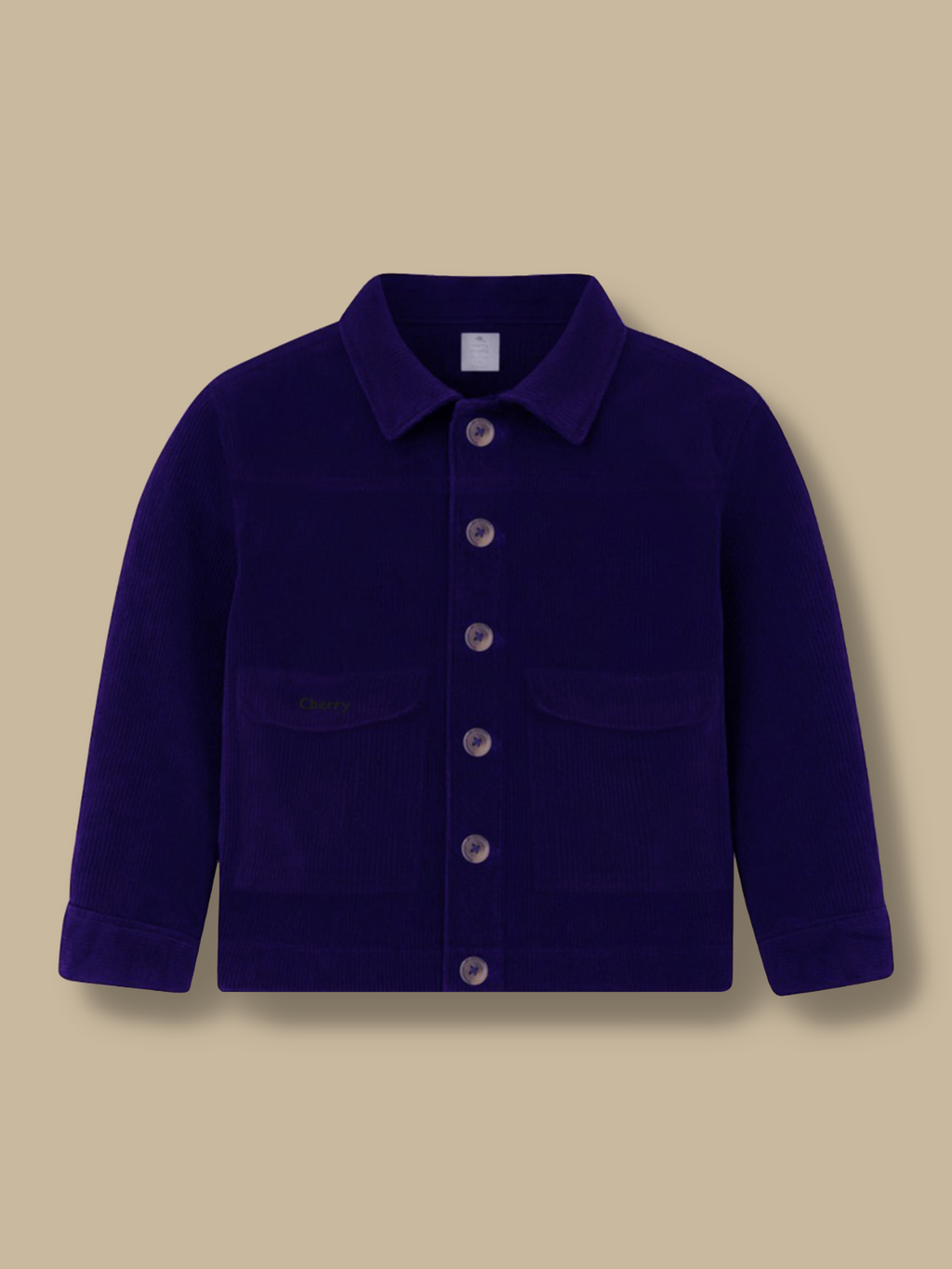 WinterWhiz Blue Jacket Edition