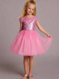 Cherry Crumble Pink Solid Playful Smart Dress