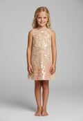 Golden Glimmer Embroidered Sequined Round Neck A-Line Dress