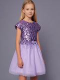 Cherry Crumble Solid Snug Graceful Winter Dress